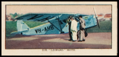 39 D.H. Leopard Moth